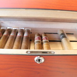 humidor shops calgary