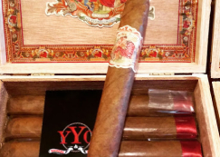 humidor shops calgary